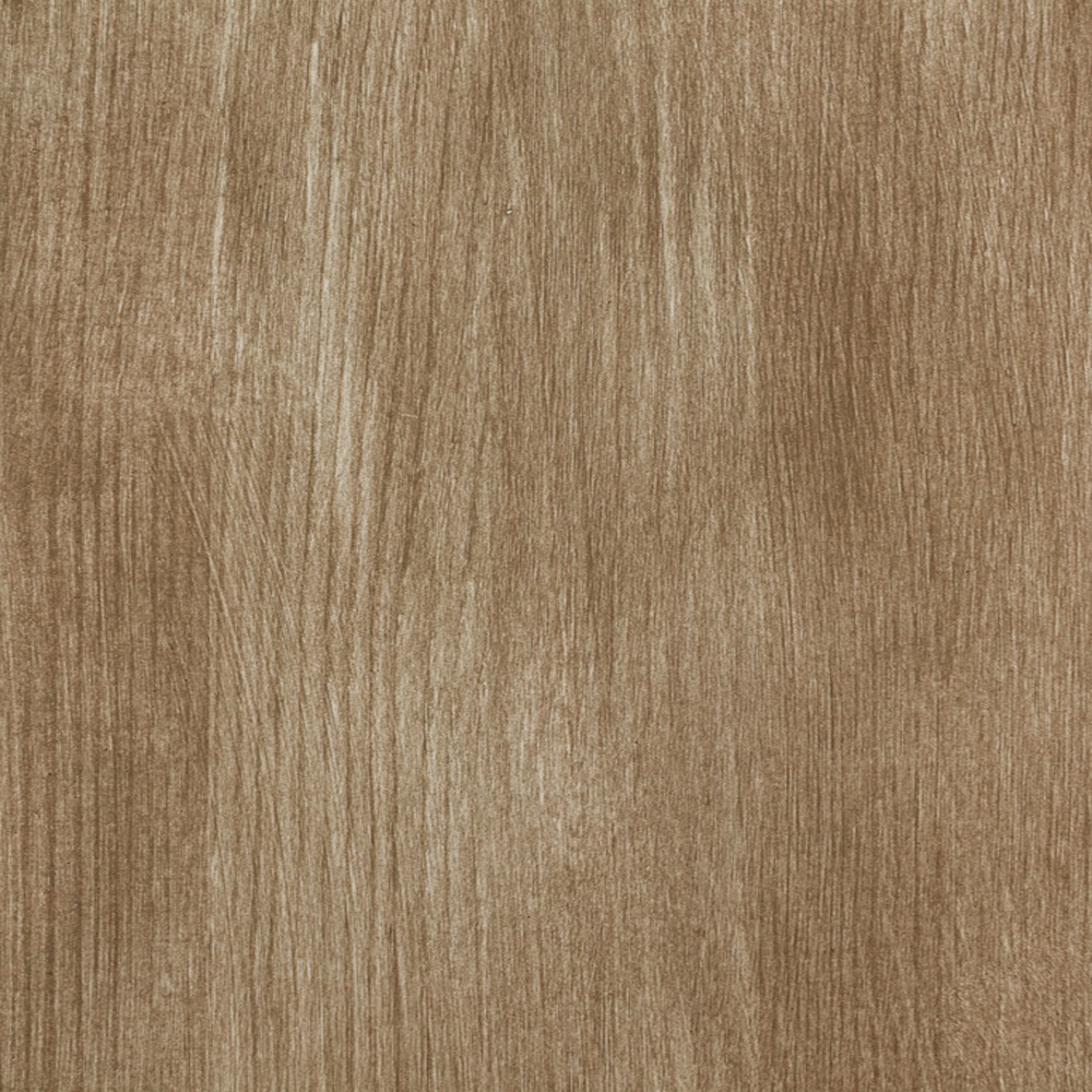 KL-B03-Ancient oak.jpg